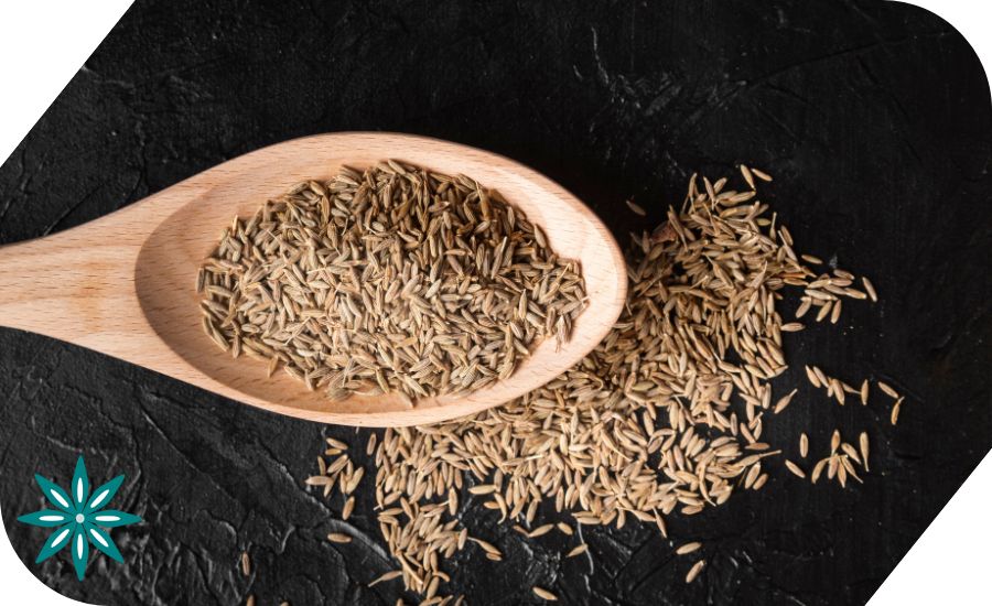 cumin seeds benefits celliexports